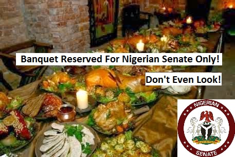 Image result for nigerian senate